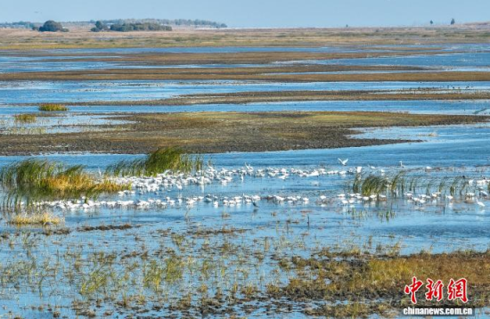 10��16��������ĪĪ����Ҽ���Ȼ���o(h��)�^(q��)��(n��i)�������ڑ�ˮ��(�o�˙C(j��)��Ƭ)�w��� �z