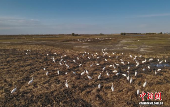 10��16�����ڼ���ĪĪ����Ҽ���Ȼ���o(h��)�^(q��)��(n��i)���Q����Ϣ��(�o�˙C(j��)��Ƭ)�w��� �z