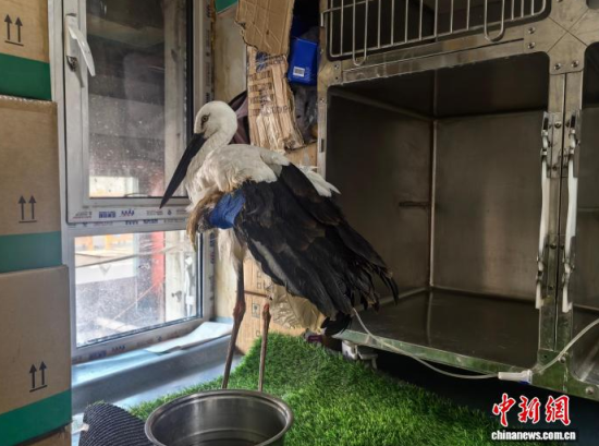 �܂��Ė|�����X���ڽ����ί�����ʯ���� �z