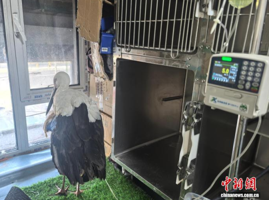 �܂��Ė|�����X���ڽ���ݔҺ�ί�����ʯ���� �z