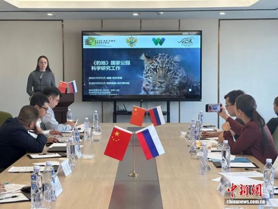 ���_˹���ҷ������o(h��)�|������(j��ng)�(y��n)�������� �z