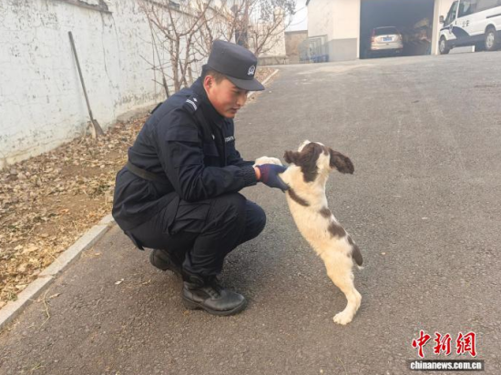 ���Ҳ������c�[�����B(y��ng)�H�ܶȡ���ʯ���� �z