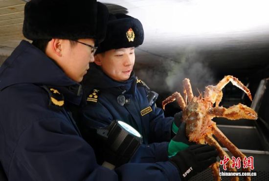 �L�����P(gu��n)���٬q�����P(gu��n)�P(gu��n)�T��(du��)�M(j��n)�ڵ���з�_չ���(y��n)�������̽��V �z