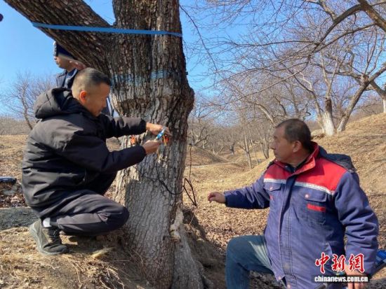 �����ˆT���ڌ���������������w�z�������� �z