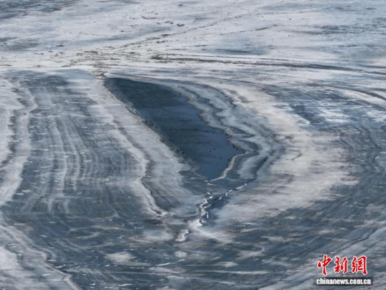 3��16���������(zh��n)�l�������������ڣ����BͣЪҒʳ���������� �z