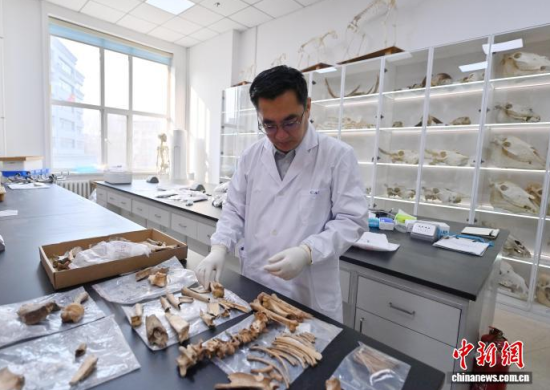 3��20���������L�����̴�������ӱ��������� �z