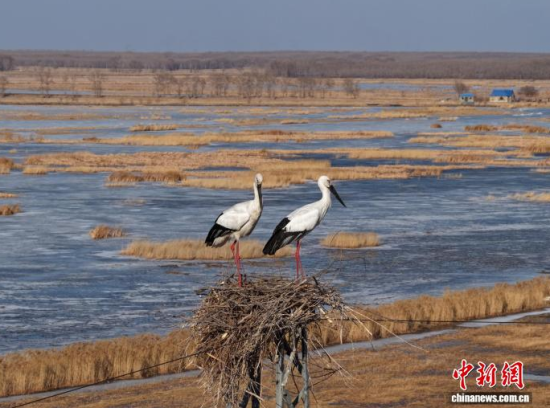 3��16���������(zh��n)�l��һ��(du��)�|�����X��ĪĪ���صĳ����������������� �z