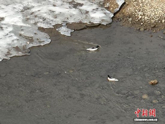 ���A��ɳ���ڼtʯ�օ^(q��)ˮ�������������L(zh��ng)��ɽɭ�����F(tu��n)�tʯ�֘I(y��)���޹�˾���D