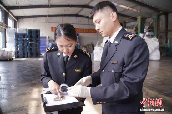 �L��ɽ���P(gu��n)�P(gu��n)�T�_չ�����K�Ѳ�����L�����P(gu��n)���D